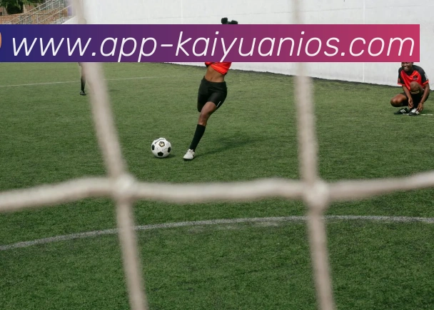 开元体育APP 封面图