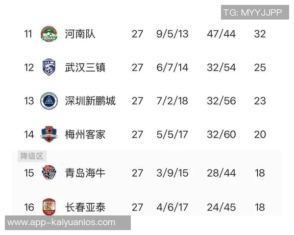 中超最新积分榜解析海港继续领跑蓉城紧随其后申花争夺榜首机会仍在