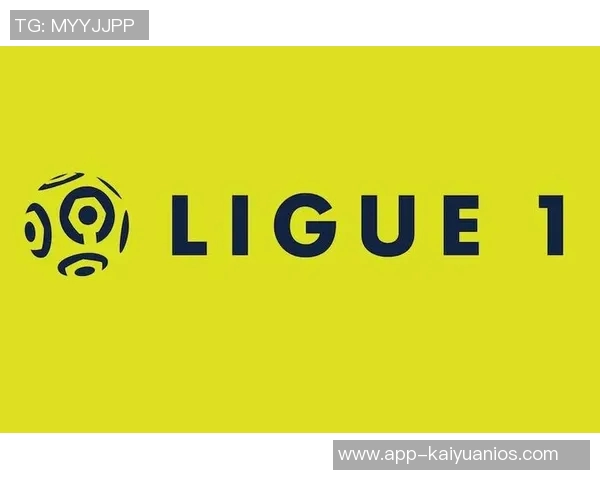 合规经营新进展巴黎斯特拉斯堡欧塞尔成功通过年度财务复审